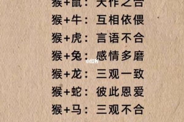 夫妻命的秘密：如何通过命理找到人生伴侣的真谛