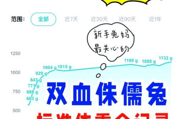 属兔人在冬季出生的命格解析：展现温文尔雅的独特人生轨迹