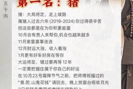 根据出生时间选择幸运猪年，解密猪年命运之道