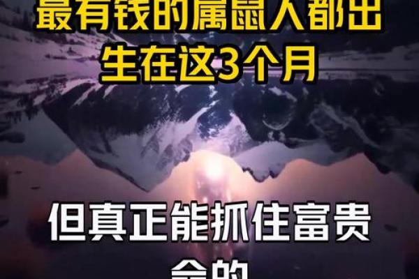 属鼠四月出生：命理与性格的深度解析