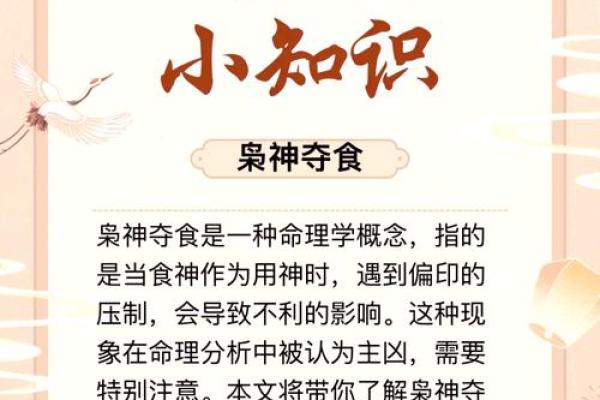 男命食神解析：人生中的美味与智慧之源