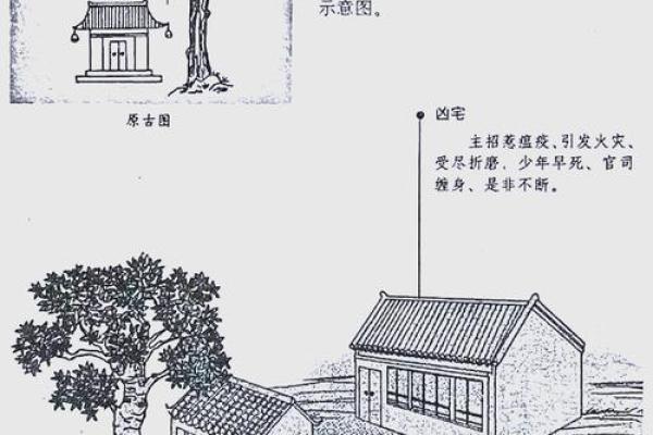 木命人适合住什么向山的房子？解析风水与木命人的绝佳结合