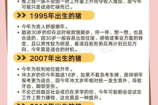 七月属猪人的命运解析：品味生活的智慧与幸福之路
