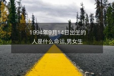 1994年出生的你，命理解析与人生指引
