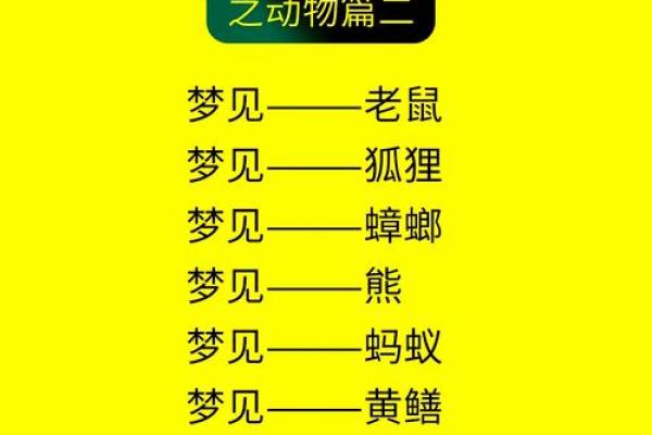 揭秘女老鼠的五行属性与命运之谜