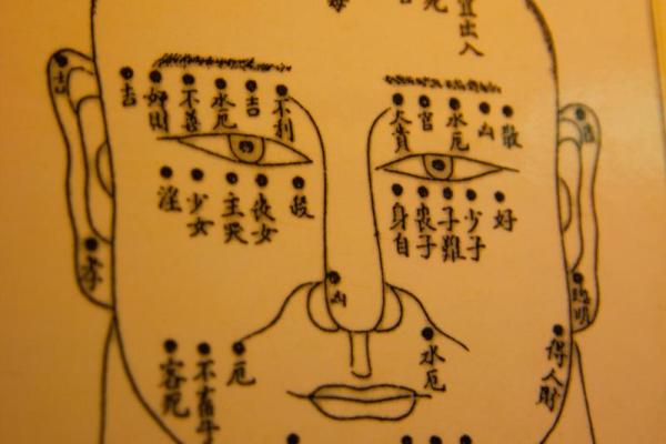 面相与命运的秘密：通过面相解析人生轨迹