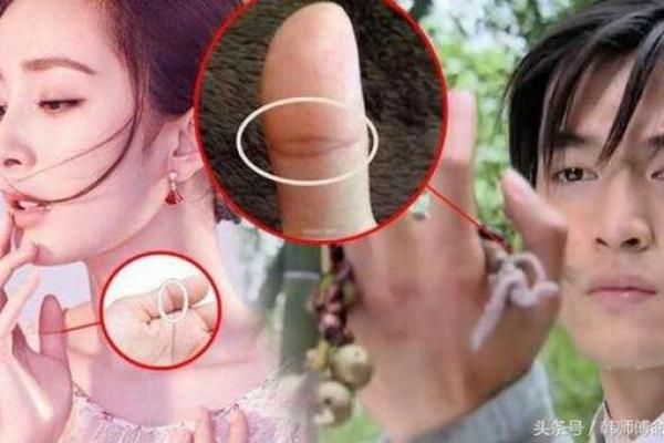 清高与高傲：命理视角下的细腻差别