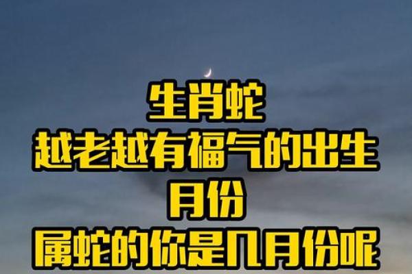 男孩属蛇辰时：揭示神秘命运与人生之路的深刻探索