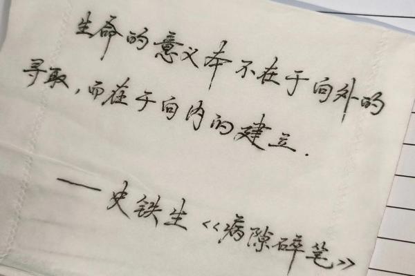 命里注定的缘分与灵魂的交织探寻“命里没有”的深意