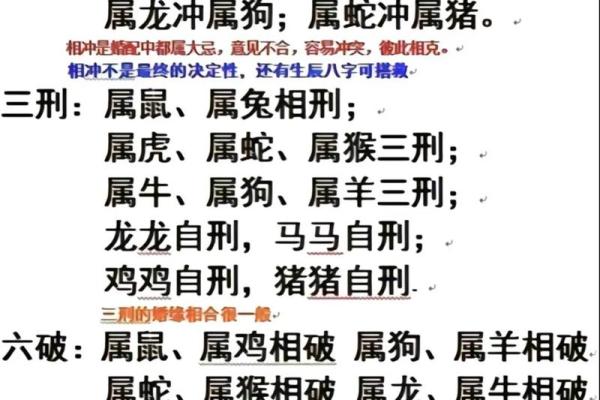 11岁属兔孩子的命运解析：从生肖看成长之路