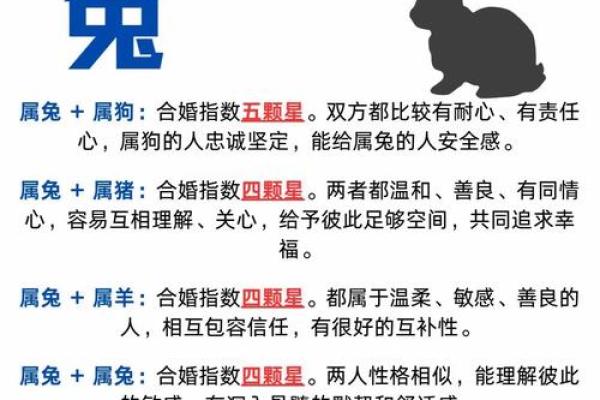 11岁属兔孩子的命运解析：从生肖看成长之路