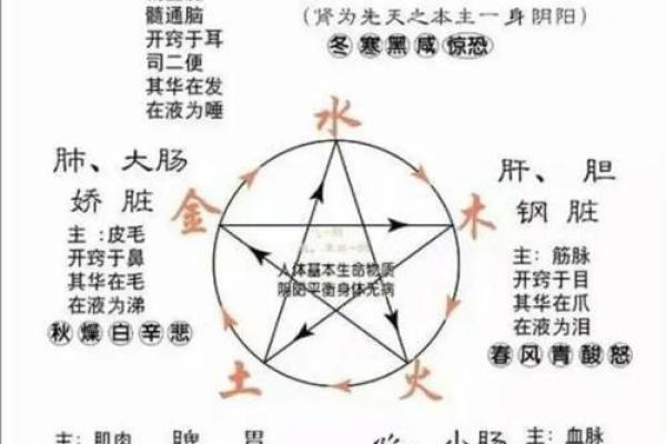 揭秘三金克一木，了解命运与五行的神秘关系