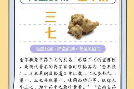 三七年生人属什么命？揭示生命的奥秘与个性特征