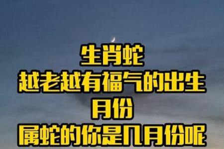 男孩属蛇辰时：揭示神秘命运与人生之路的深刻探索