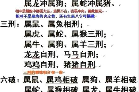 11岁属兔孩子的命运解析：从生肖看成长之路