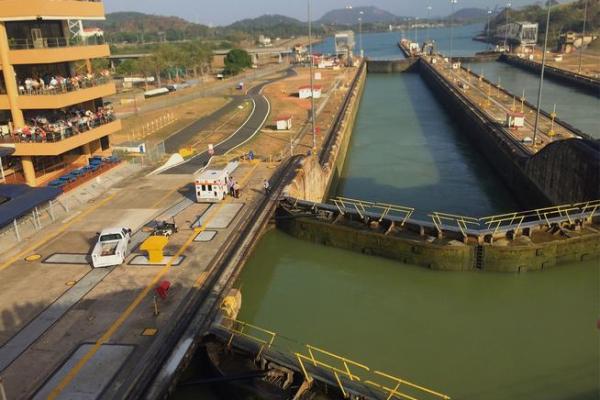 七月出生的虎女：勇气与智慧并存的命运之旅