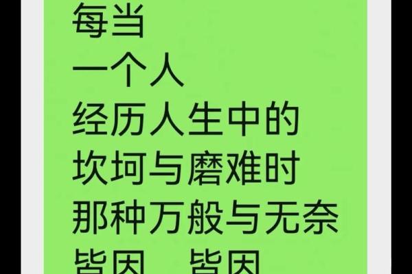 人生的真谛：何为“人过命不过”的深刻哲理