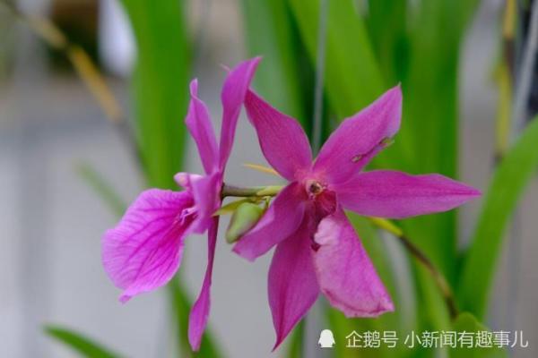 木命之人取名秘籍：助你事业腾飞的幸运之选