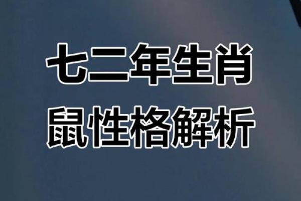 揭秘属鼠人的命运与性格特征，让你更好理解鼠年的魅力！