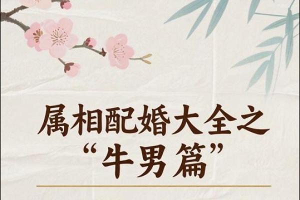 男命杀旺时如何选择最佳结婚运与人生伴侣