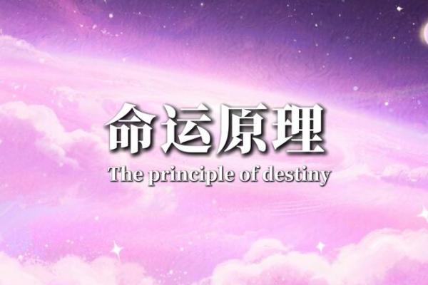 解密五行命理：探寻最佳命运的奥秘