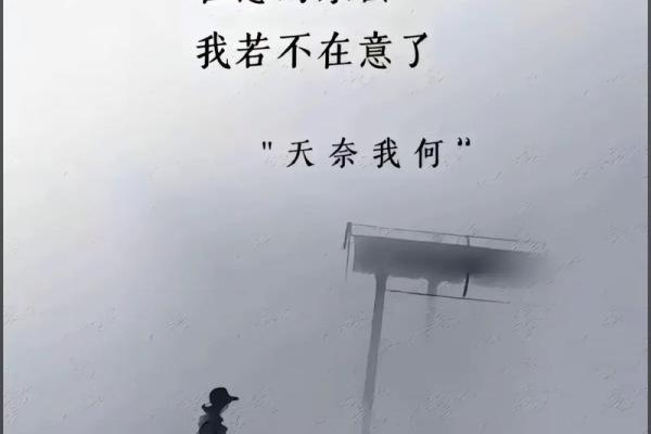 三丧入命：在绝望中寻找重生的希望