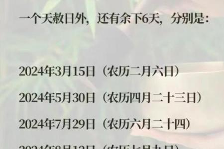 解密阴历3月24日出生人的命运与性格特征