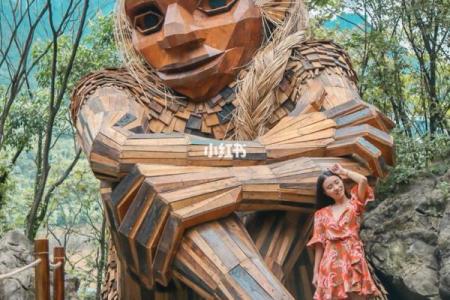 森林木命女孩适合学习的课程与职业发展方向解析