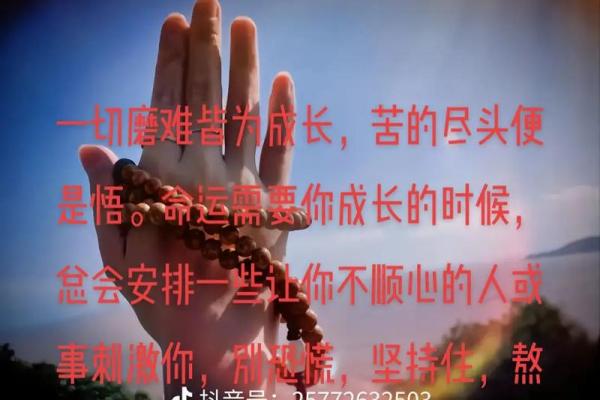 2009年牛宝宝命运解析与成长指南