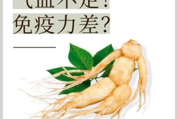 桑椹木命：适合的事业发展与人生选择