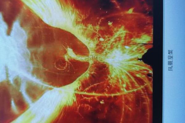 《半条命：那些经历磨难的人们》