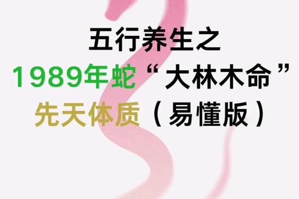 揭秘属蛇人的命运特征与人生智慧