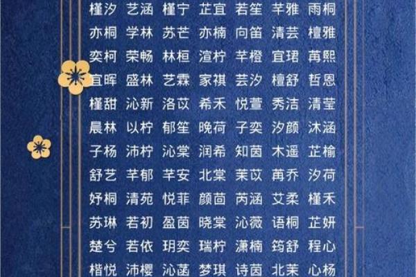 木命男孩起名宝典：选择合适字的艺术与技巧