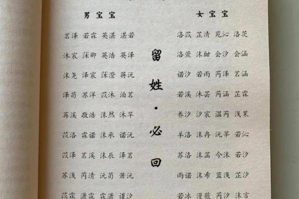 木命男孩起名宝典：选择合适字的艺术与技巧