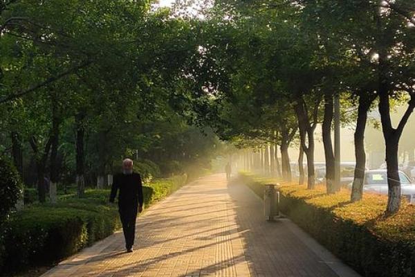 晨起之人：探寻早起与命格之间的密切联系