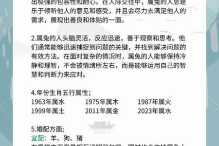 了解兔年命理：五行与运势的深刻联系
