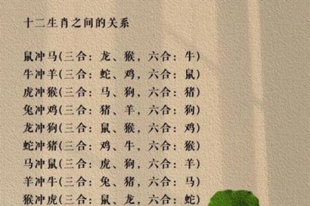 揭秘十二生肖：哪些生肖命中注定走运？