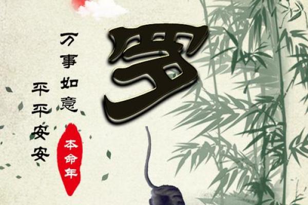 罗姓人的命运解析：从古至今的性格与运势