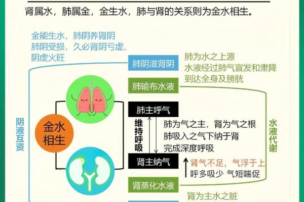 洞下水命：五行属火为何反而选择水的秘密