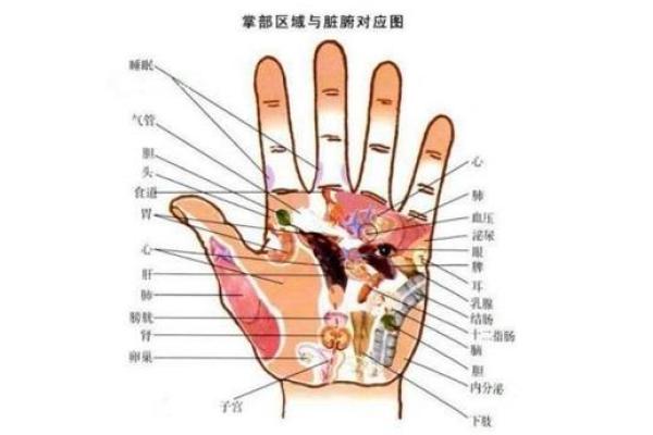揭开掌纹奥秘：只有一条线的命运密码