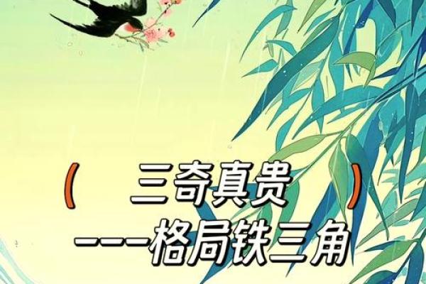 三奇加会格：为何男命不喜女命的奥秘探究