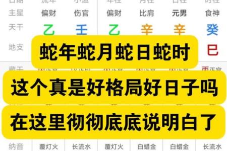 解密蛇年出生人的命理：智慧与魅力的结合之道