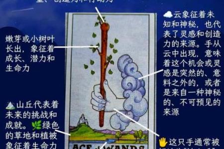 揭秘塔罗牌占卜：紫圣历命的神秘与启示