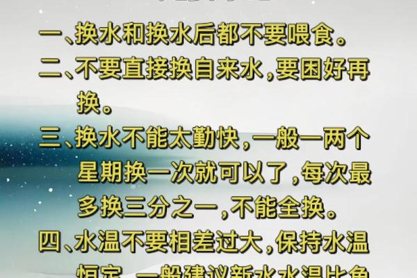 揭秘命理：哪些人养鱼更好 风水与性格的完美结合