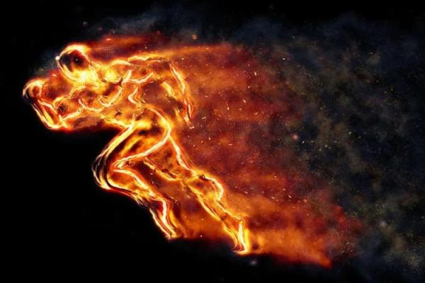 山头火命的五大职业选择，助你燃烧人生的激情与梦想！