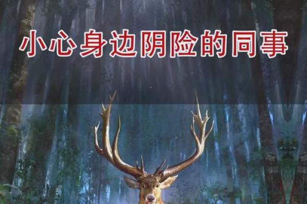 命格与小人：如何识别与应对身边的阴暗角色