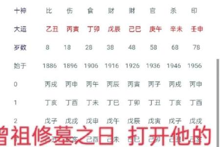 丁亥命运解析：掌握机遇与挑战，开启人生新篇章！