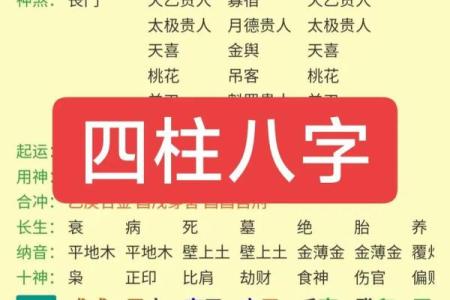 揭秘男命八字偏印格的独特魅力与命运解析