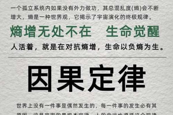 解密命理格局：探索下等命格的奥秘与调整之道