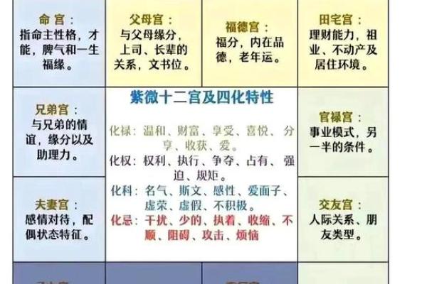 八字命格解析：透视你的人生潜力与运势关系